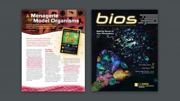 College of Biological Sciences magazine