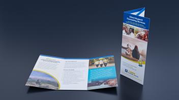 Veterinary Medicine Brochure