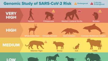 SARS-CoV-2 (COVID-19) Risk Chart