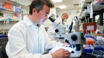 Scientist looking through microscope