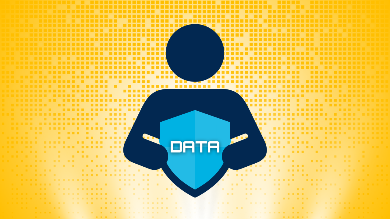 Data Privacy Graphic
