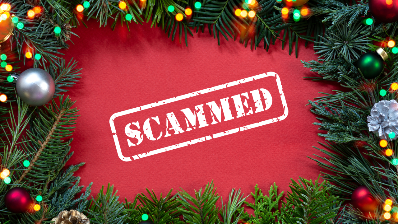 green evergreen framing a red background with white stamped lettering reading "scammed"