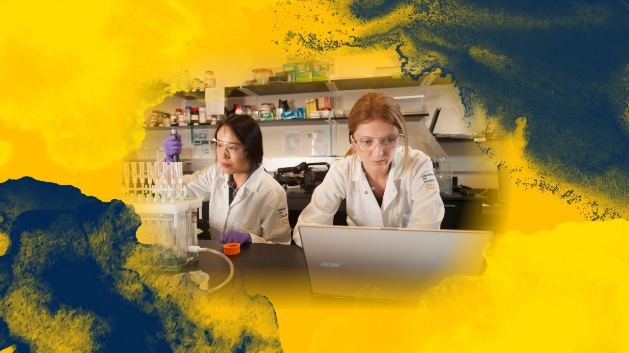 UC Davis Researchers