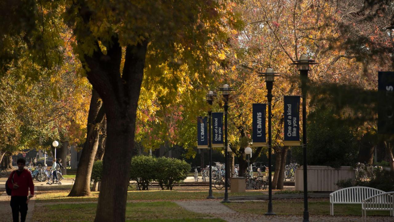 photo of uc davis campus in the fall