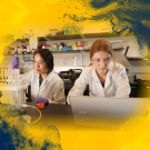 UC Davis Researchers