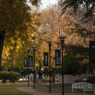 photo of uc davis campus in the fall