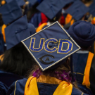 UC Davis graduates with a focus on a graduation cap